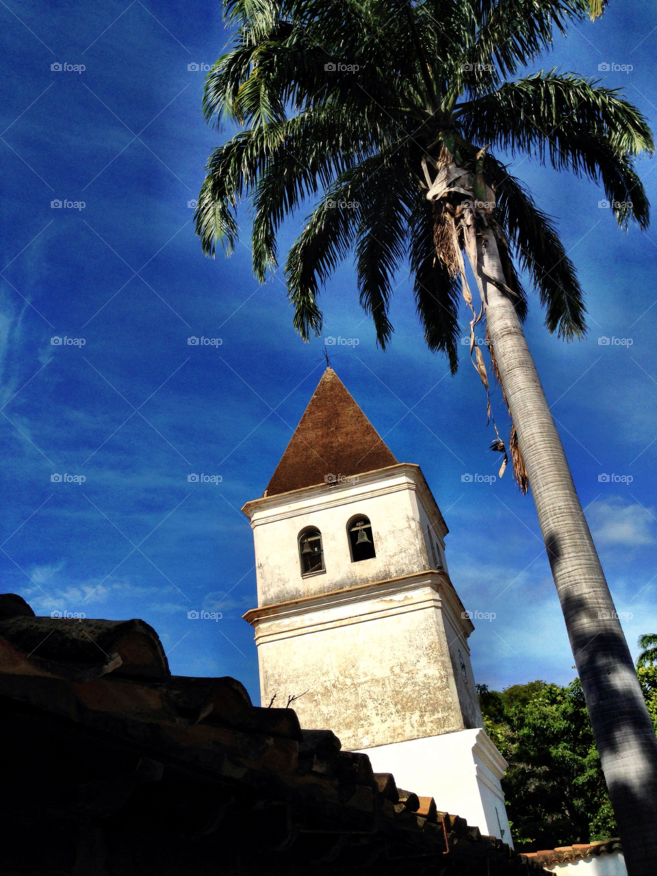 sky tree palm church by jmsilva59