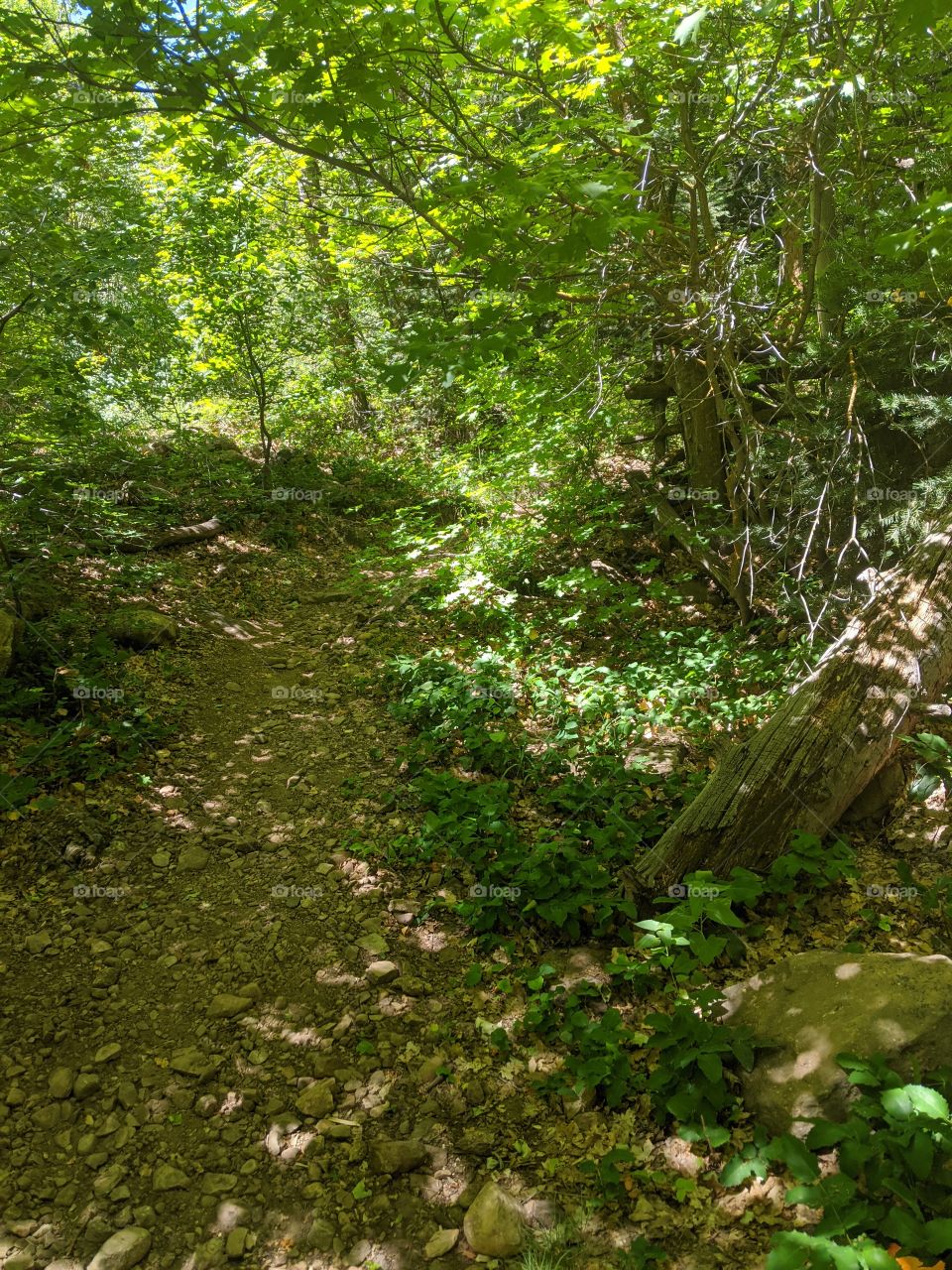 Grove of Remembrance