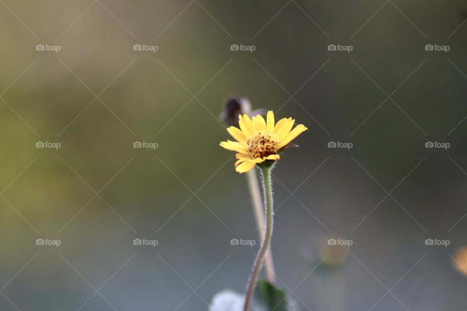 The depth of life❤️