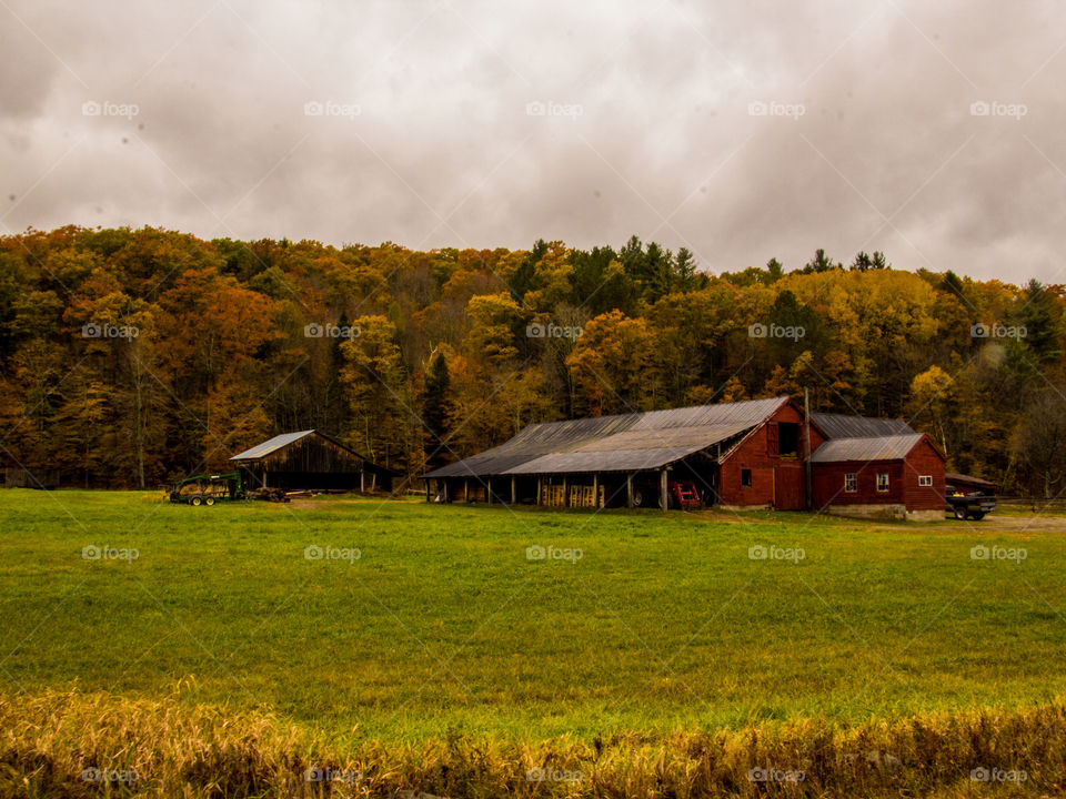 Maple Syrup Farm in Vermont