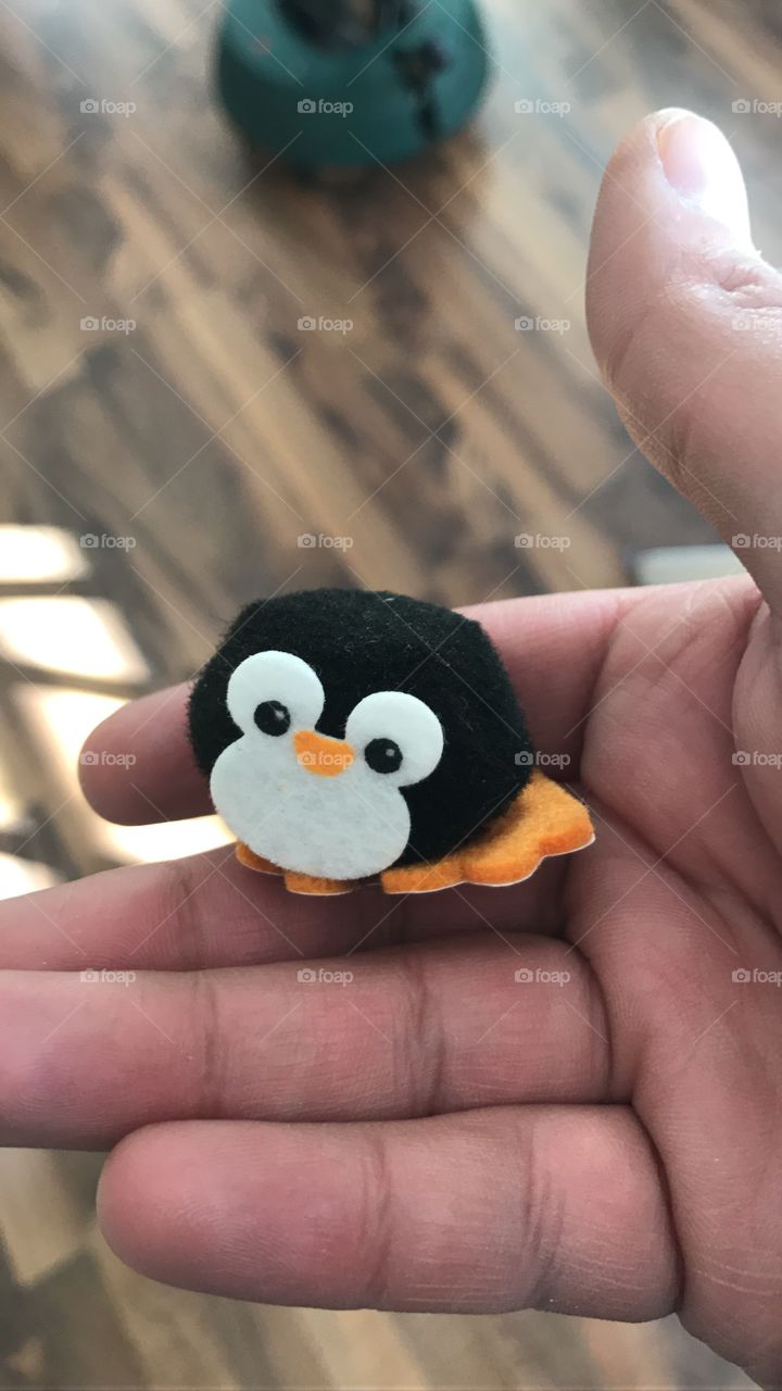 Pinguin: klein aber fein