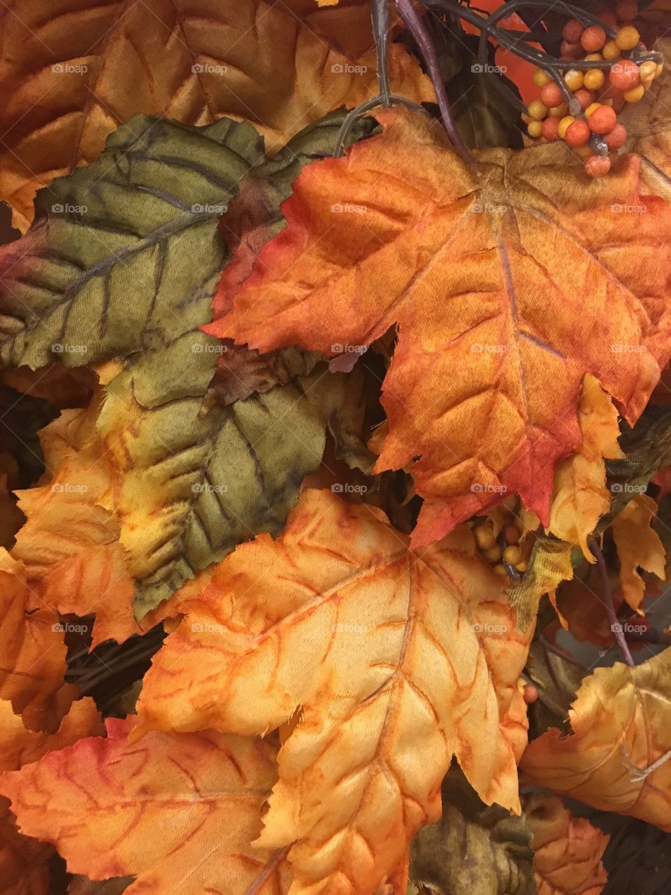 Close-up of autumn foliage