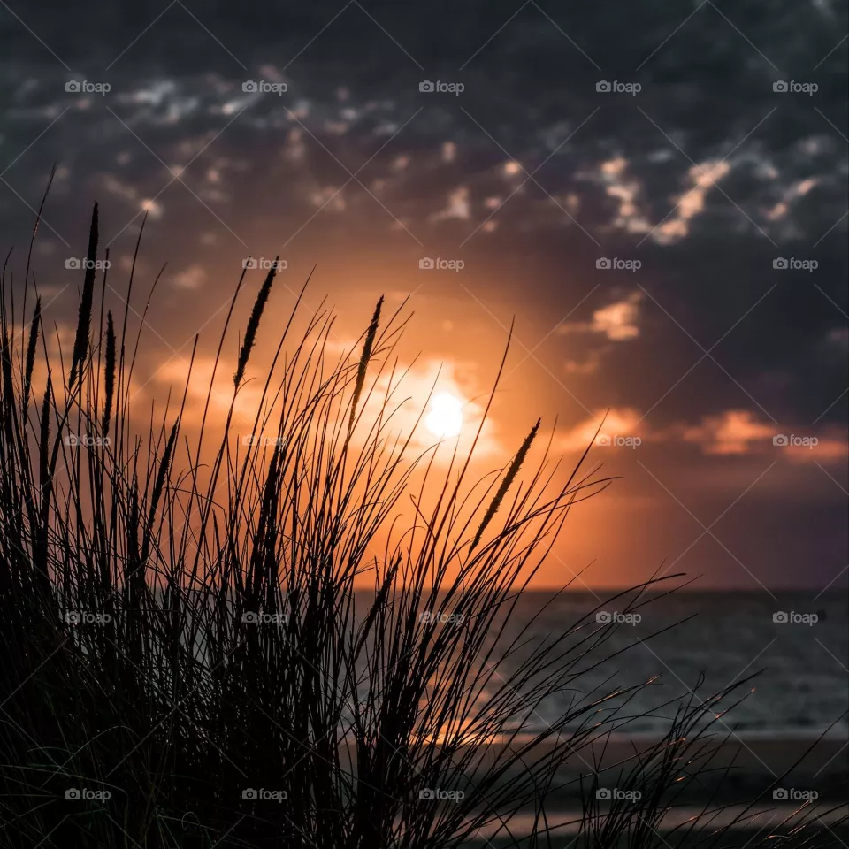 Beach evening, 