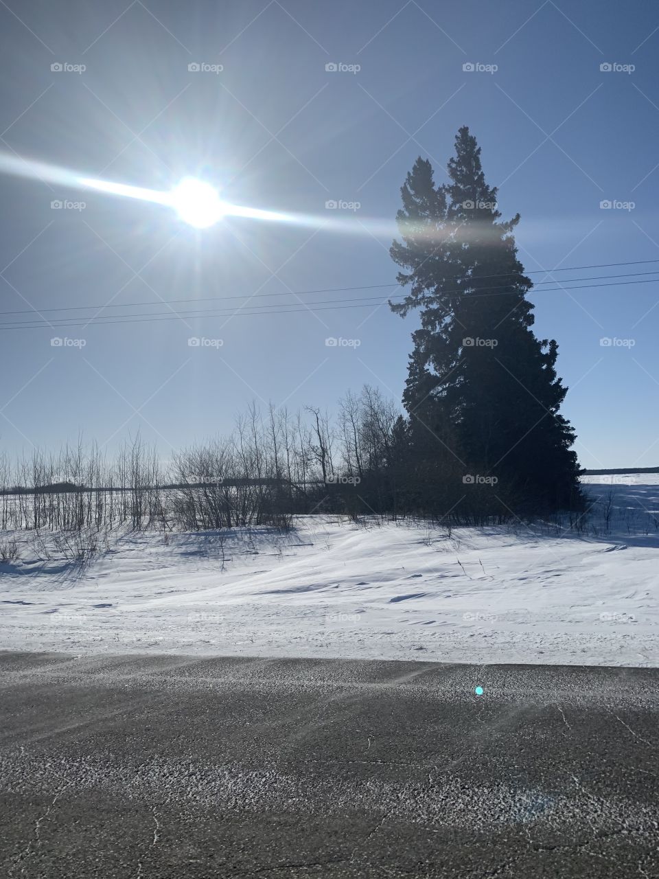 Sunlight on the prairies 