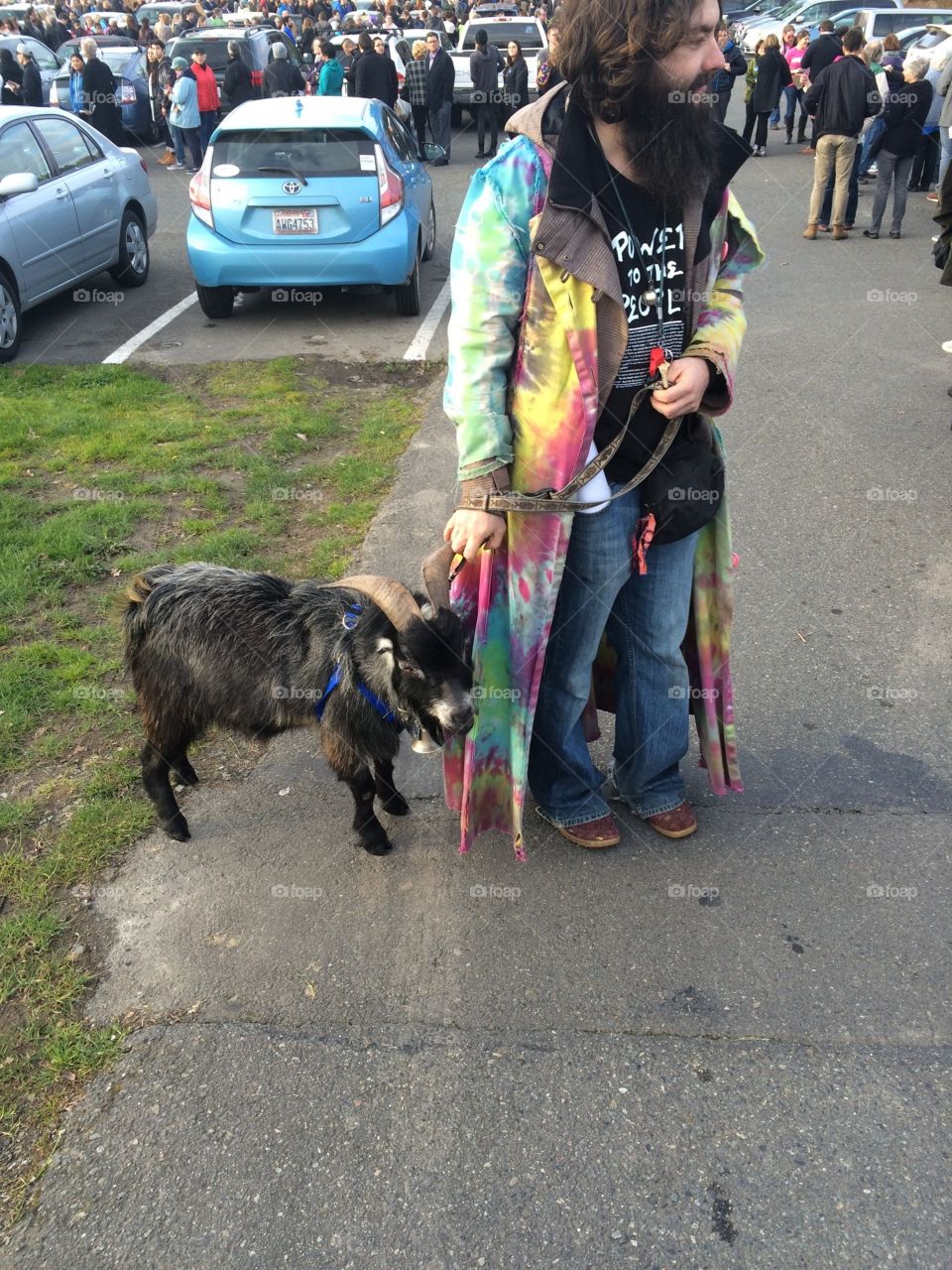 A man with a goat at a Hilary Clinton rally in Seattle.