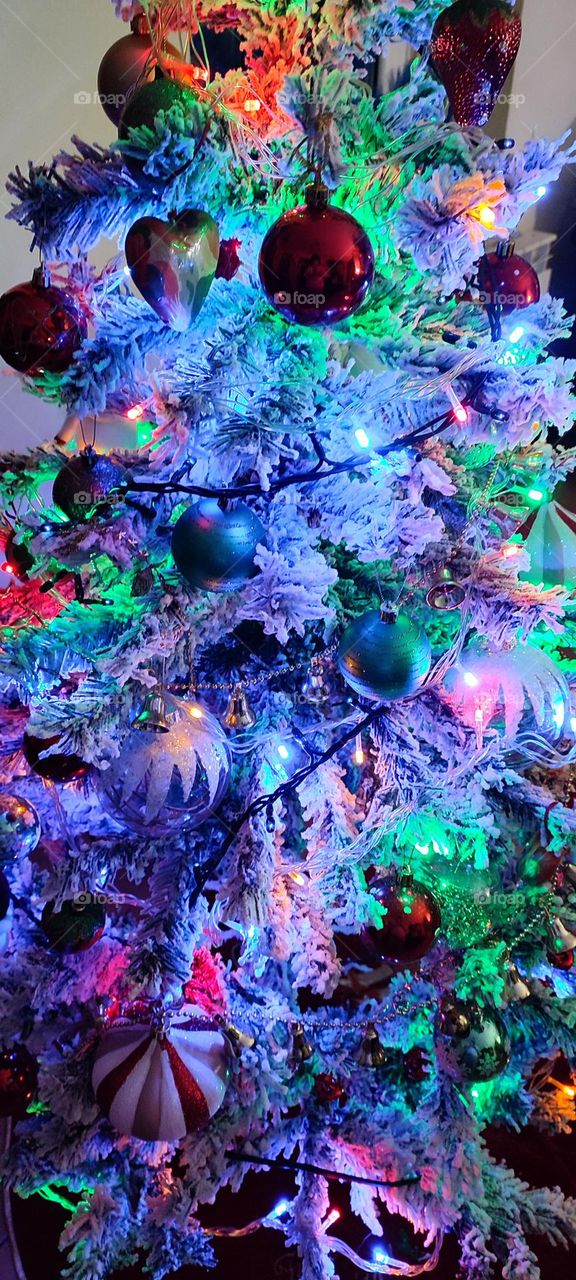 Recuerdos de esta última navidad 🎄