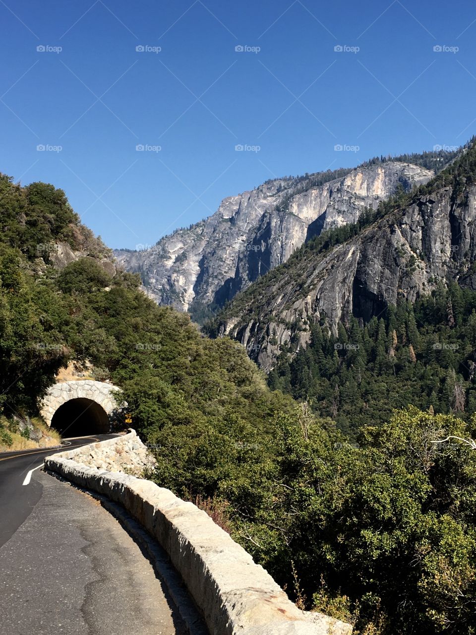 Beautiful Yosemite! 