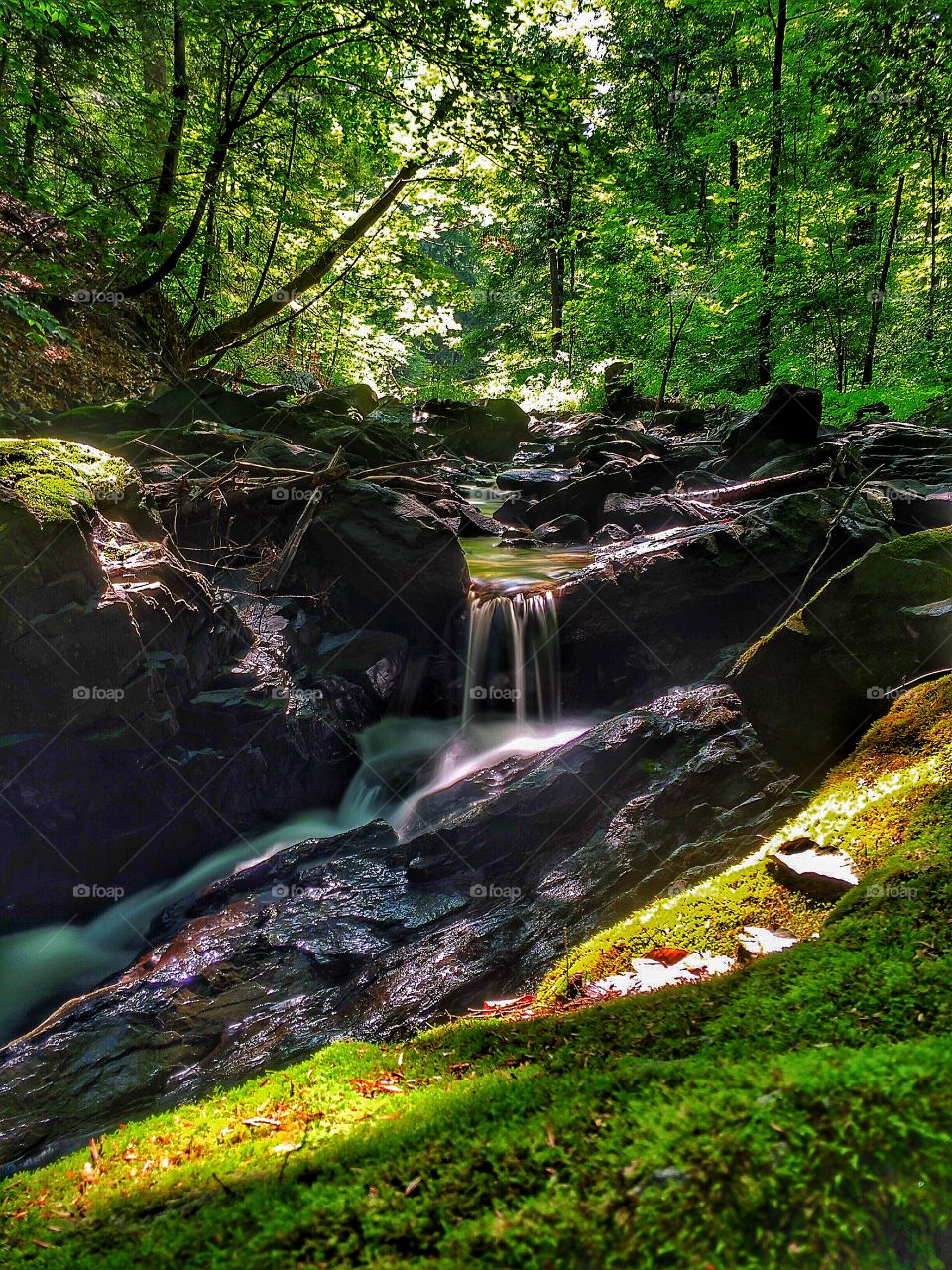 A lazy waterfall in the forest. I came across a small waterfall in the forest. 