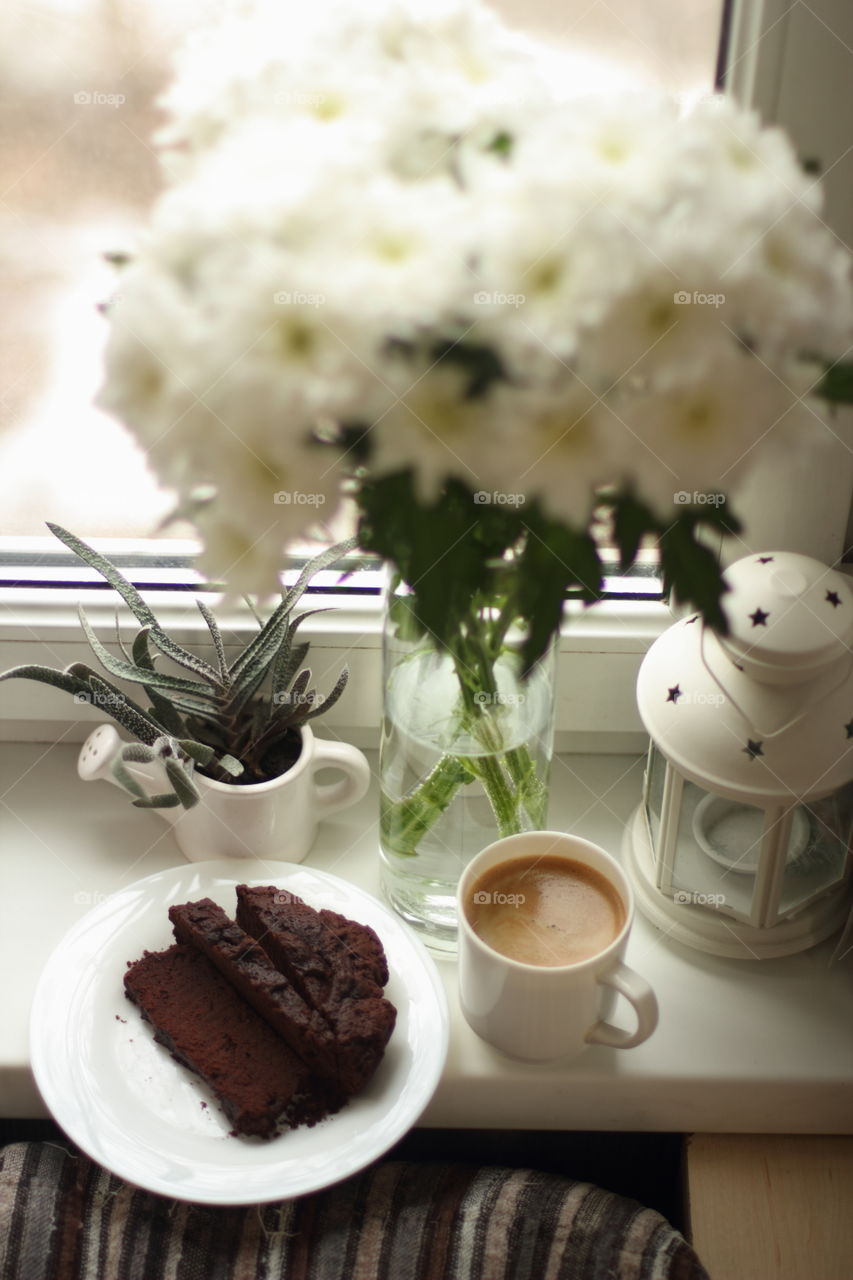 uncut brownie, coffee, succulent, bouquet, lamp