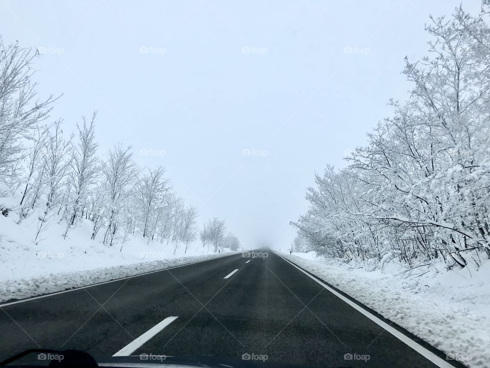 On the road in winter time and winter nature around the road.