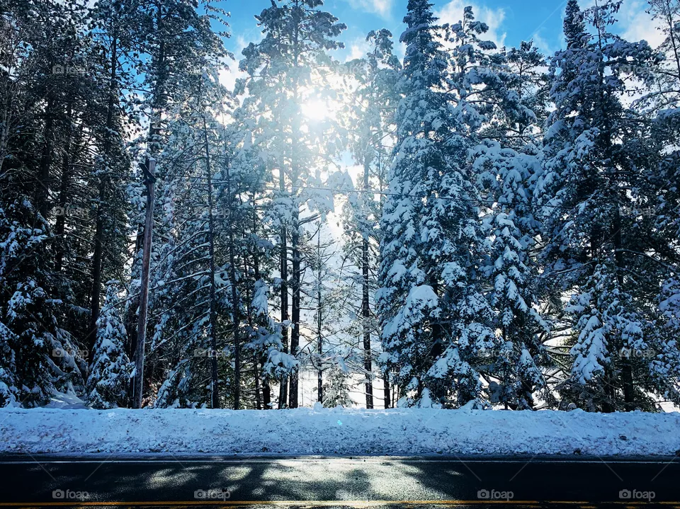 Winter drives