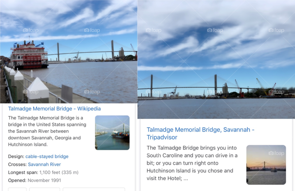 Talmadge Memorial Bridge 🌉