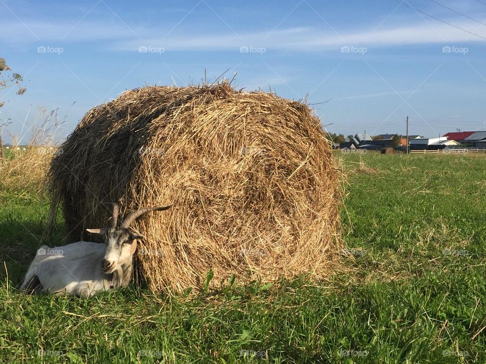 The Best of 2021: Nature