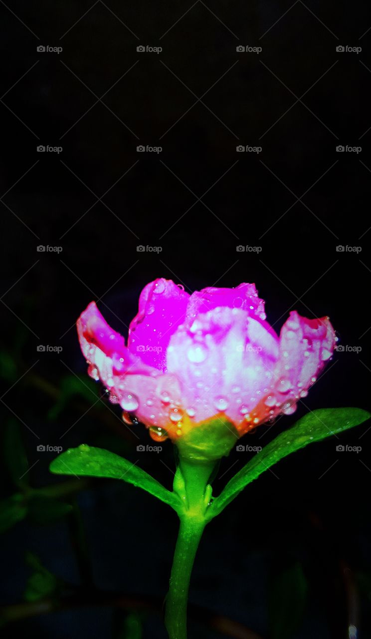 #foap #infoapartemen #foapjuly18 #foapaug18 #foapfeb18 #foapapril17 #foapers #foapjune18 #fotografoaprendiz #sfoapprentices #foaper #infoapartment #foapmission #foapmay18 #foapapr18 #foapit #infoaplikasipaytren #infoapple #foapom #foapjan19 #infoapp 