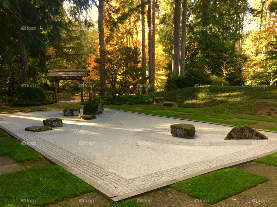 Zen Garden