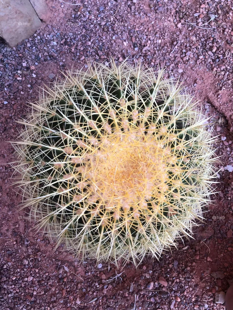 Round