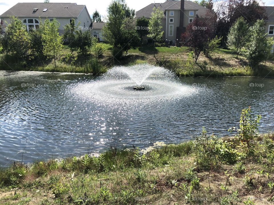 Pond with Fountain 