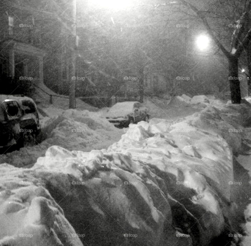 Winter in the northern hemisphere is an amazing natural phenomenon and beautiful to behold. The snow-covered landscape changes and everything in it changes: the colors, the volumes, the sounds, a true invitation to new discoveries!