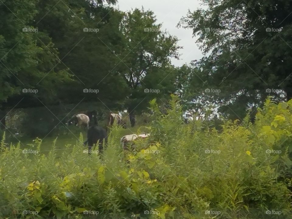 Driving the Back Roads and enjoying everything around us