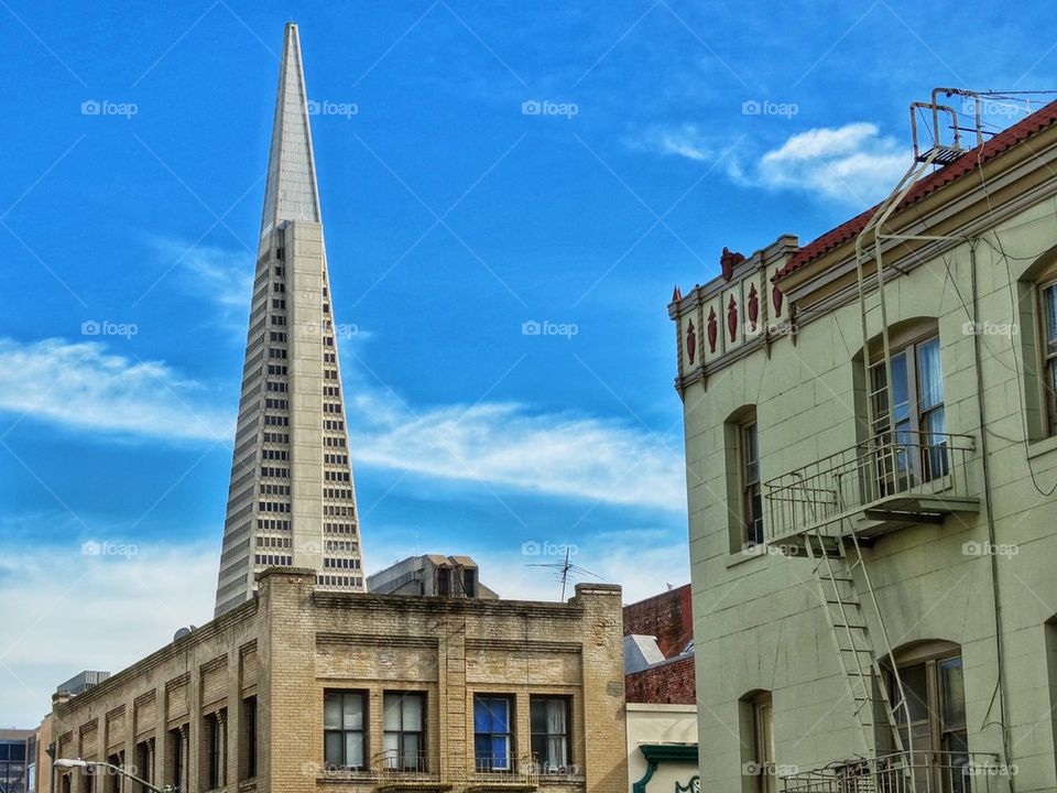 Transamerica Pyramid, San Francisco Skyline. San Francisco Iconic Building