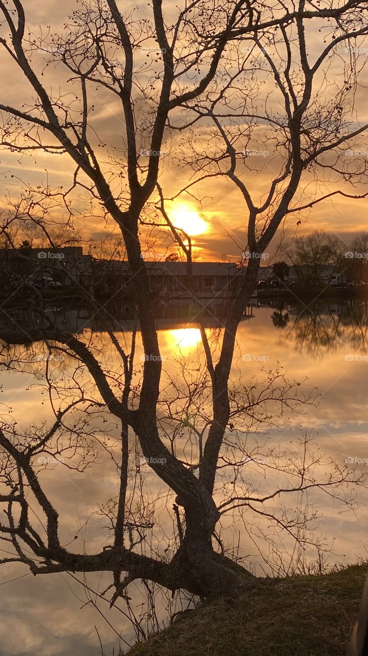 Heading Into Evening High Clouds Partly Separated parting letting in blue sky. Sun glowing with Reflections in water of Lake. Thin Yellow circle around Sun glowing while feathered clouds of Sun. Good clear picture with plenty of detail