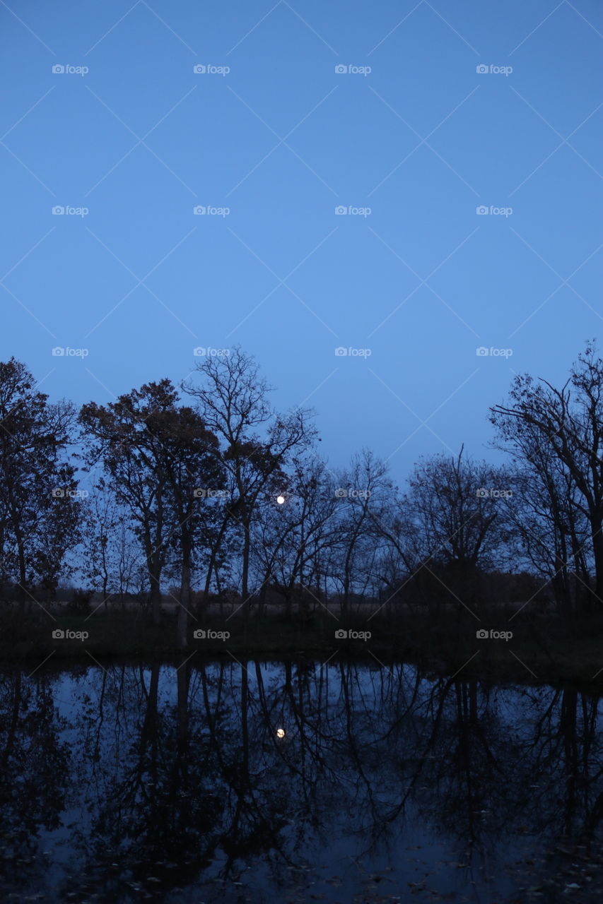 Moonrise over the water in the night forest.