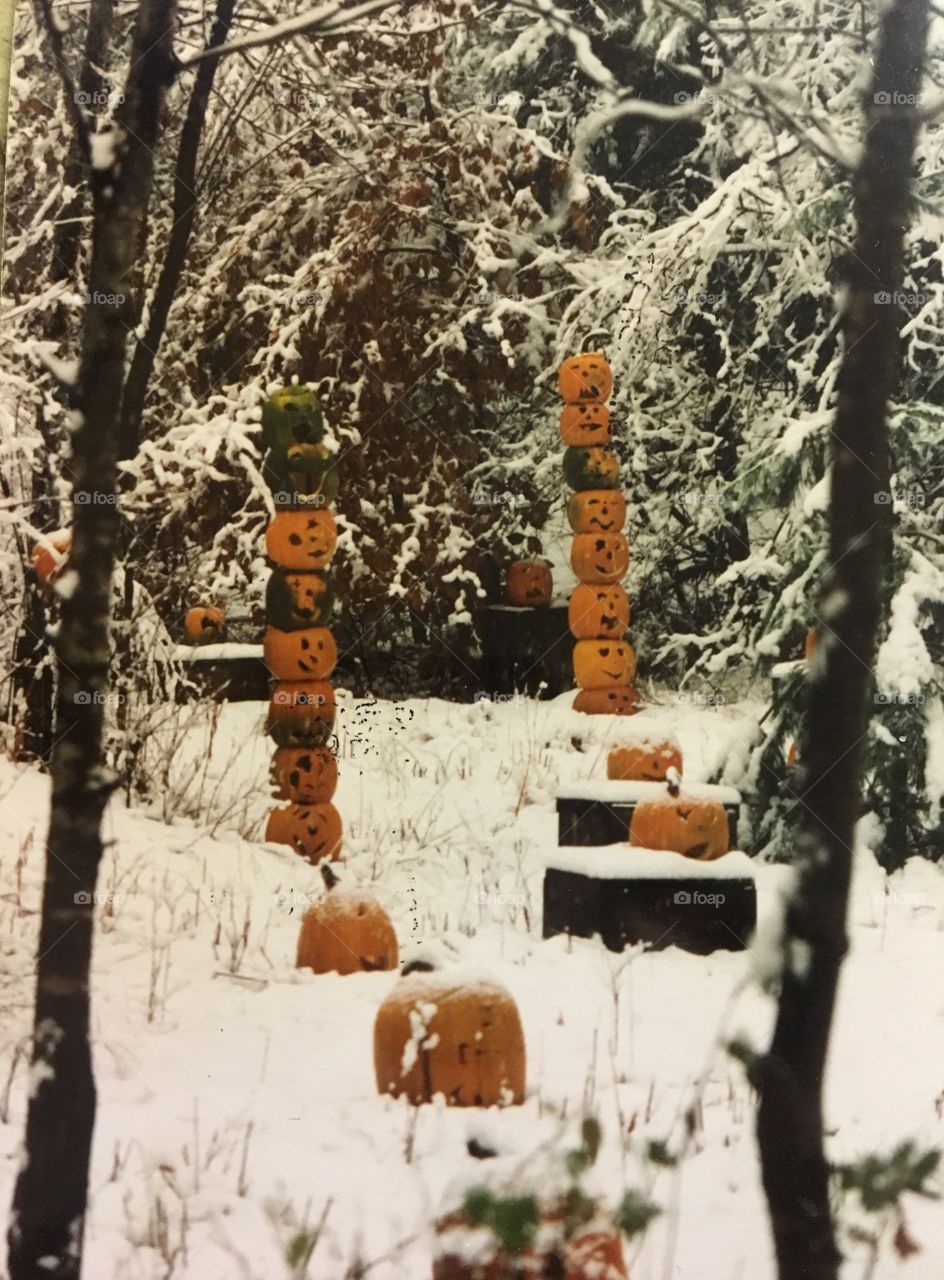 Carved pumpkins in the snow