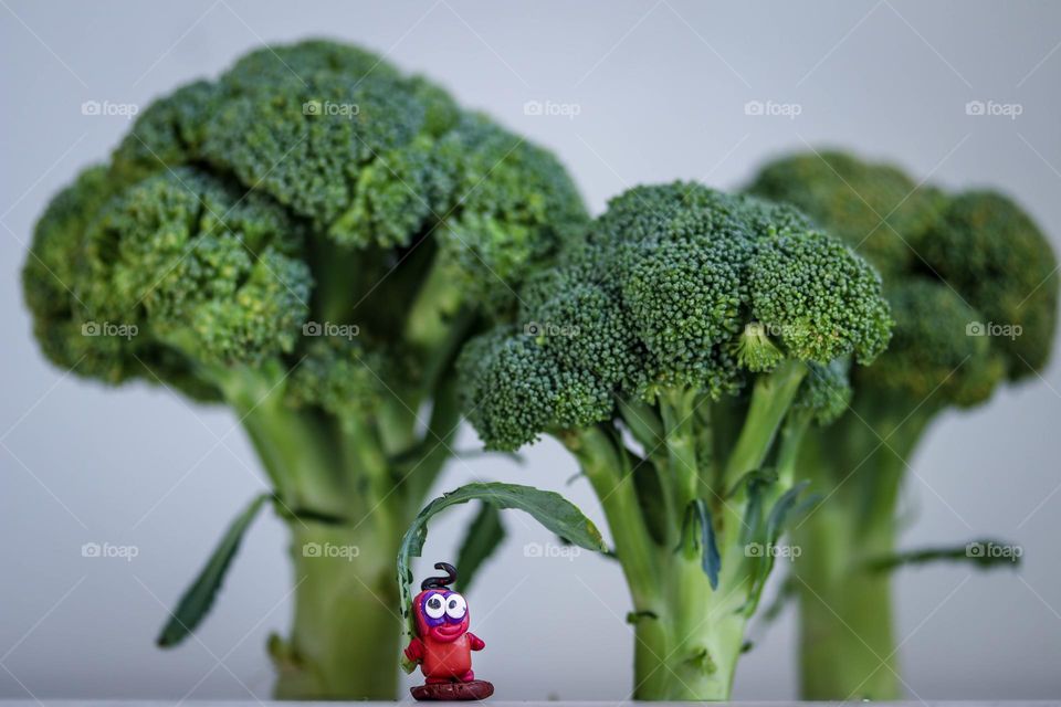 Funny creature in a broccoli forest