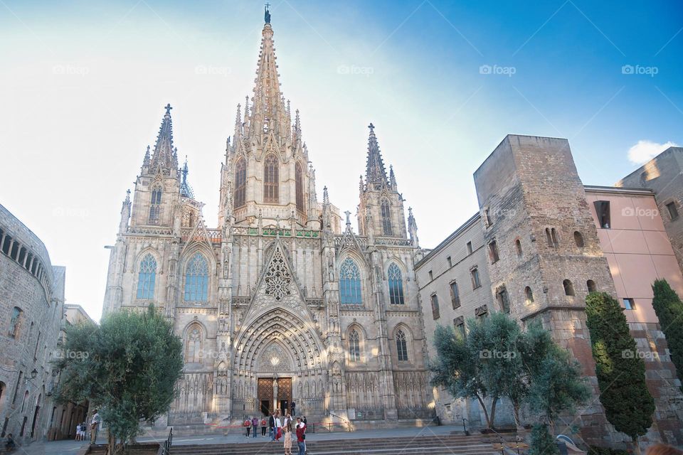 Barcelona Cathedral 