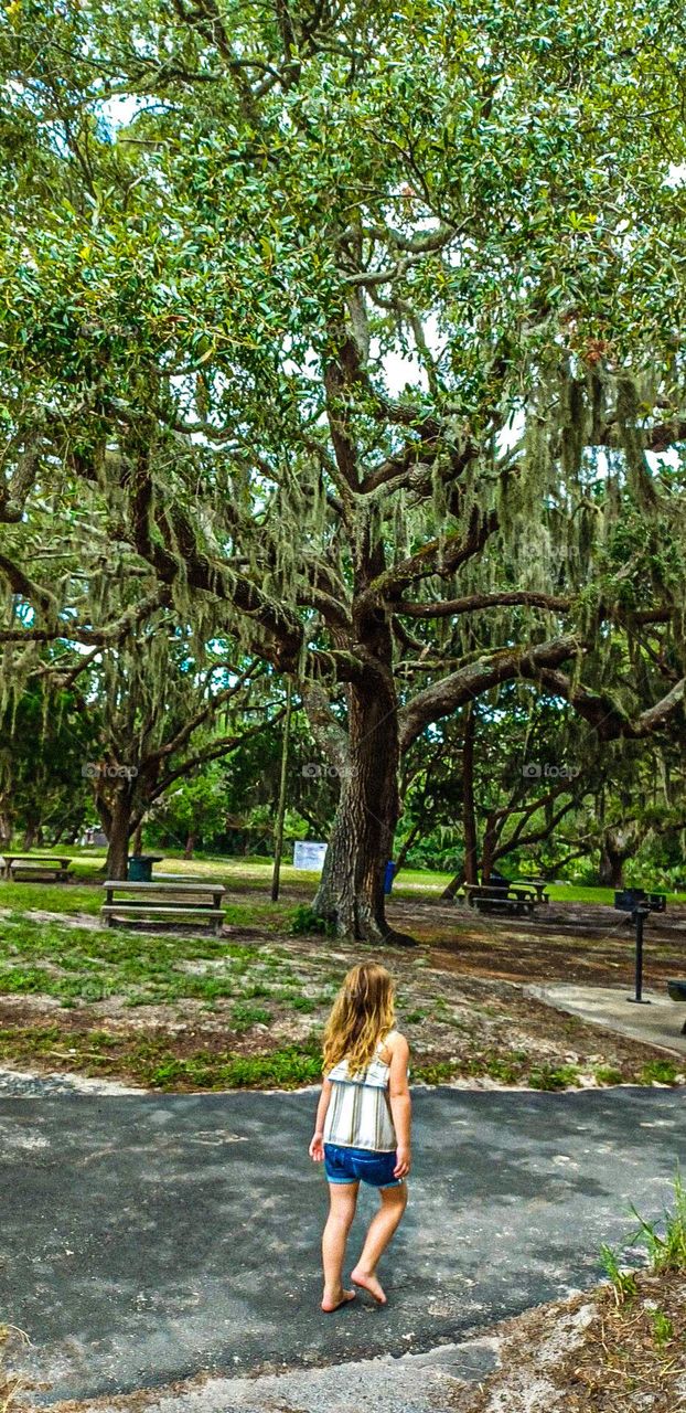 My wonderful daughter running through a trail in Jekyll island Georgia. A large vine filled willow tree and park benches make a wonderful view