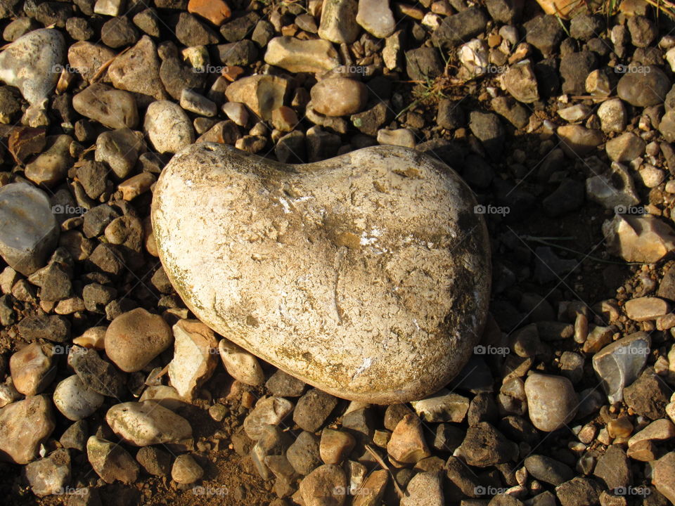 High angle view of a rock