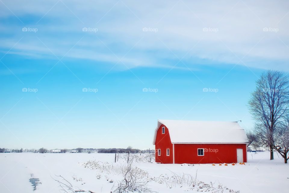 Red Barn - Winter
Landscape view of red barn in snow with clear blue sky in the background.