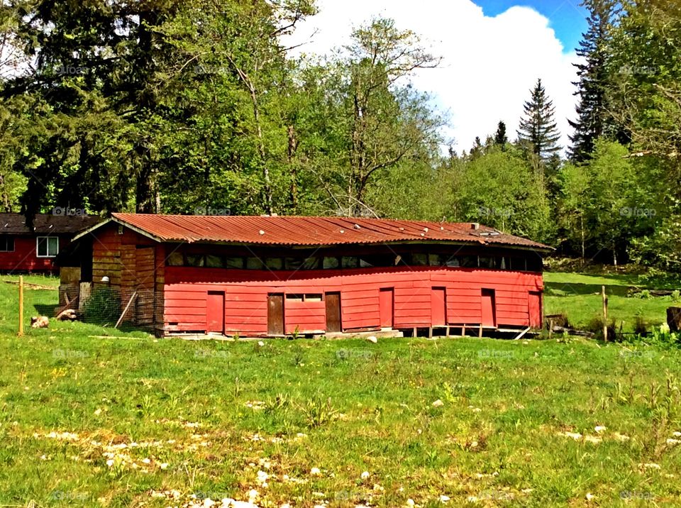 Warped red Barn, Rural Port Coquitlam, BC Canada. Warped red Barn, notice the foundation!