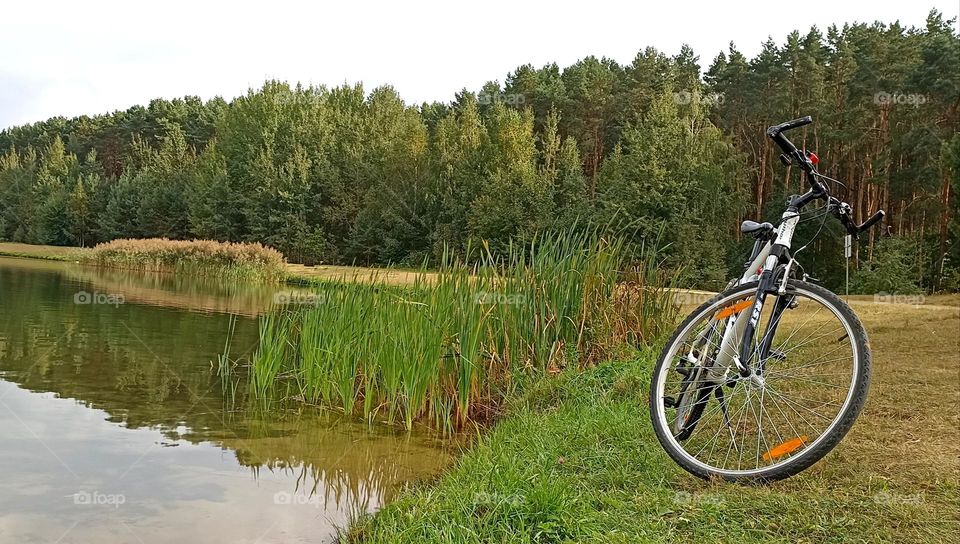 bike on a lake shore beautiful nature landscape