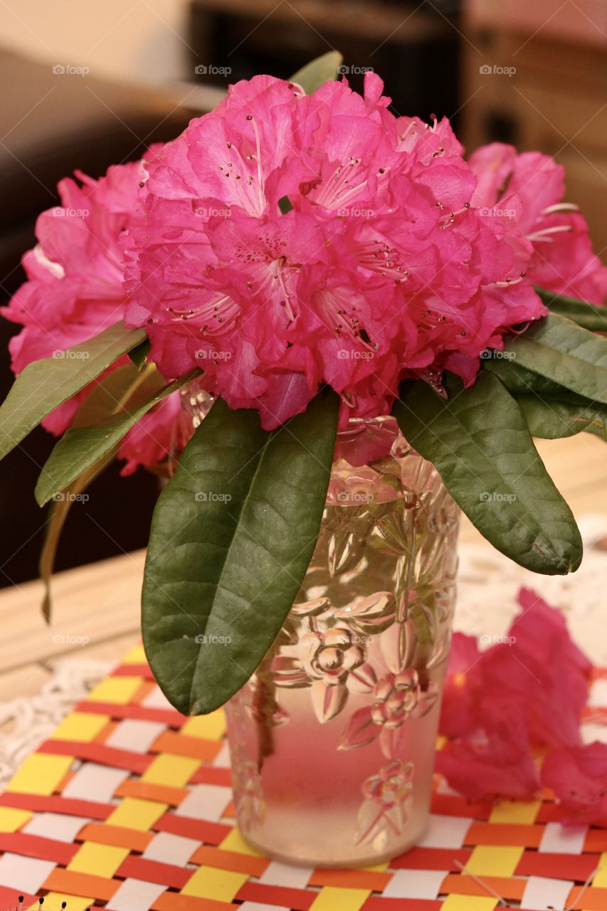 rhododendrons in a vase