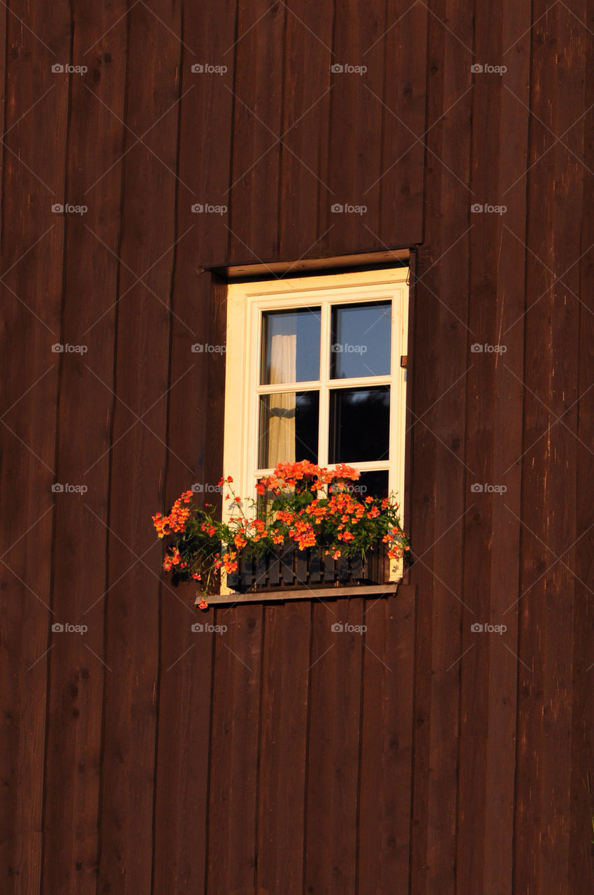 flowers wood vintage house by kbuntu