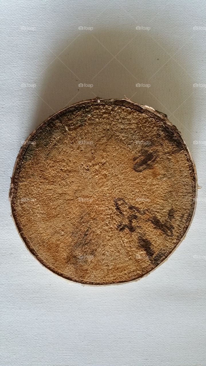 Wood slice