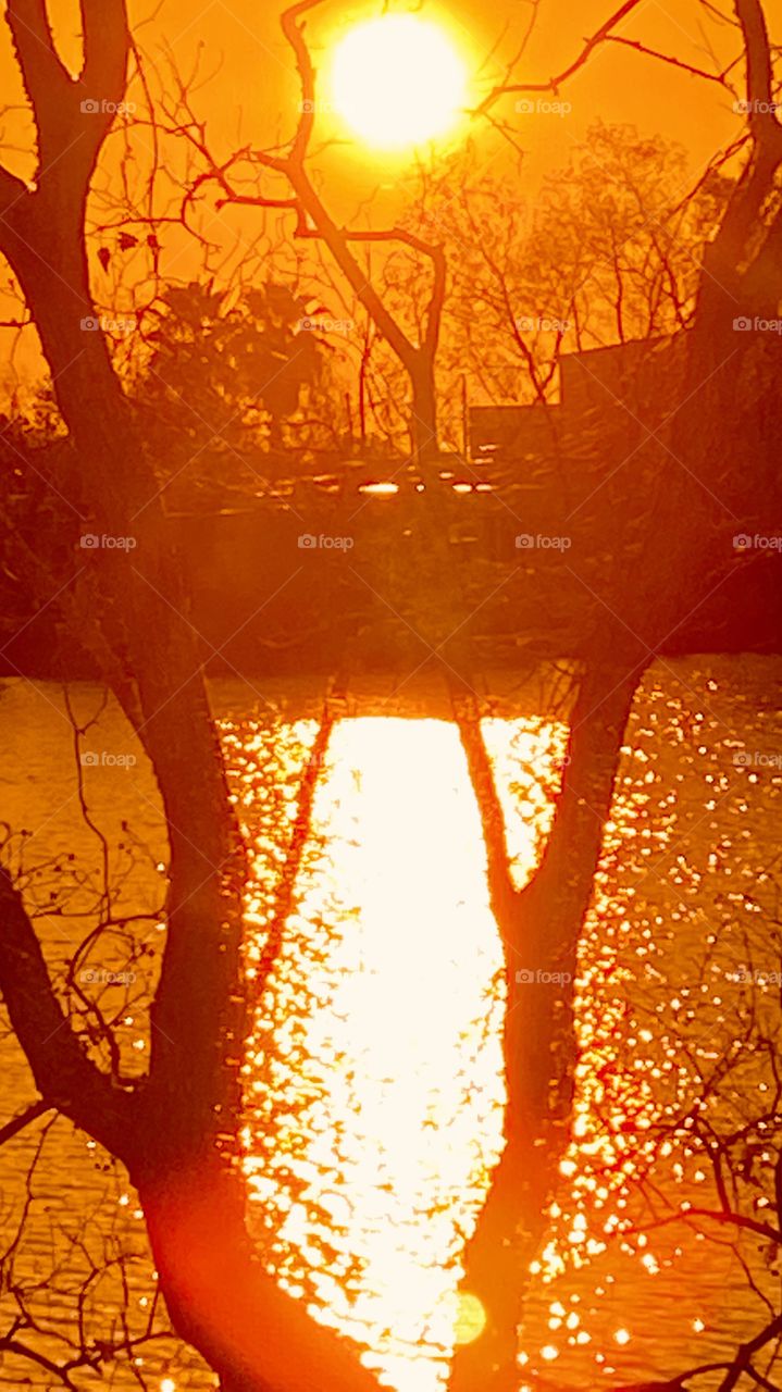 Nice Hot Sunshine on a Winter Day after a Frontal Passage overnight. The Sun overhead with Power blending Down to Reflect off of the Lake Waters.