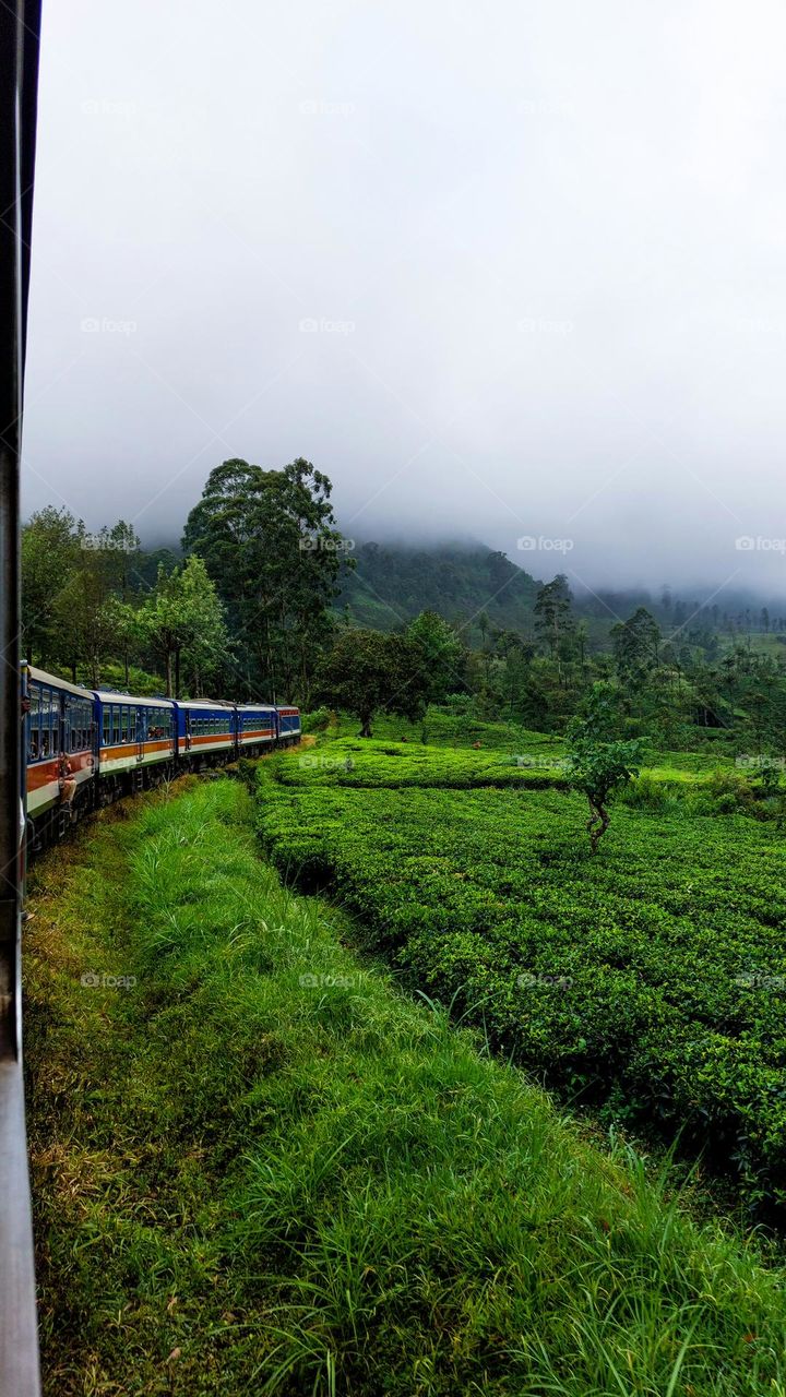 Train Window Serenity