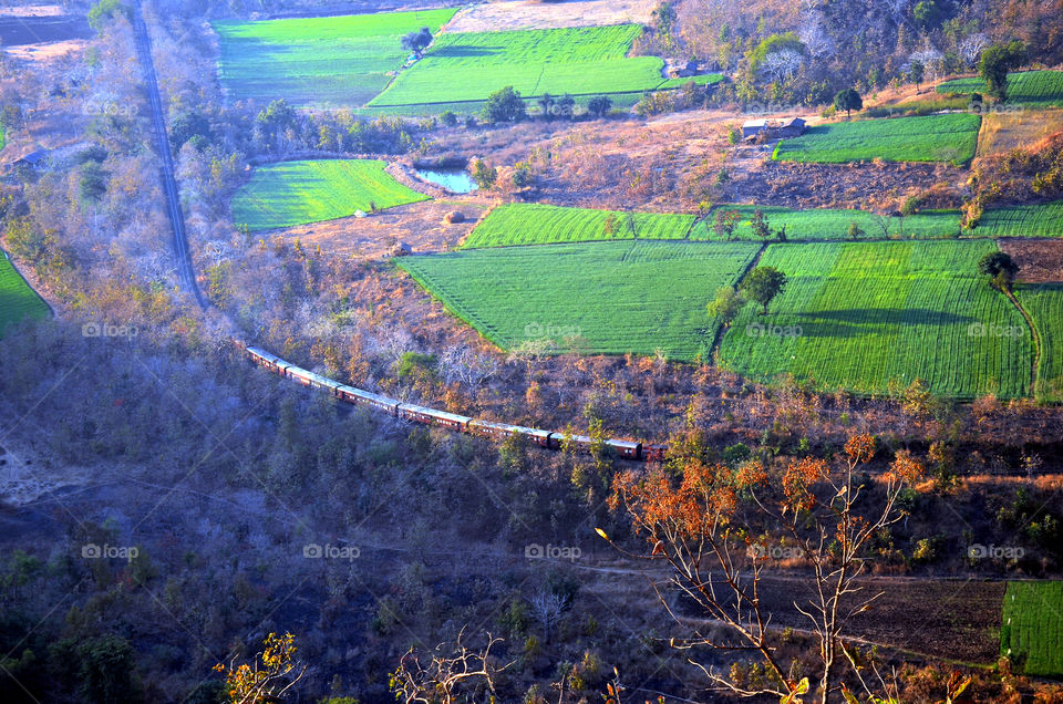 train is looking so beautiful