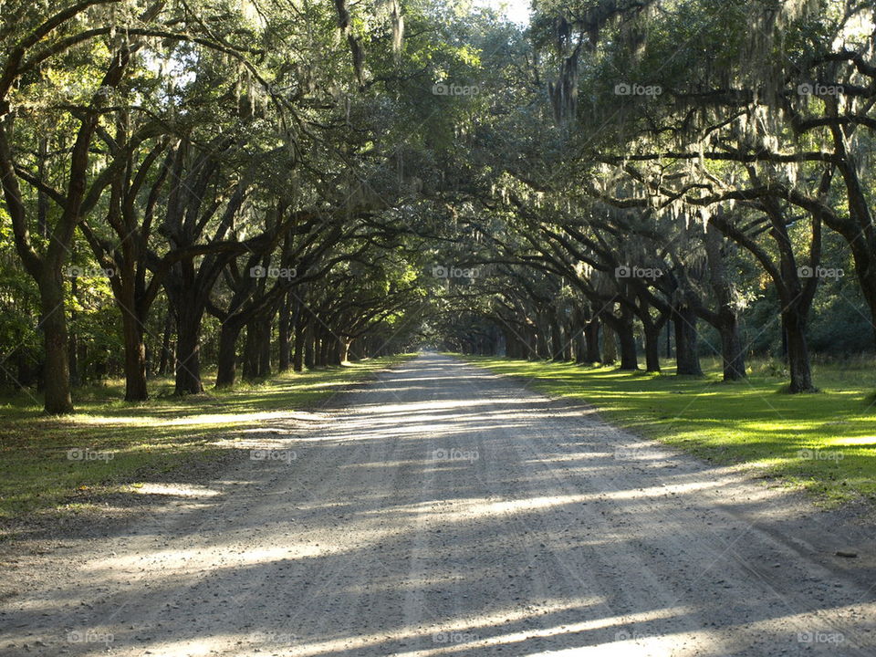 View of a empty road
