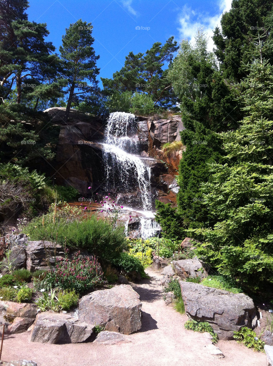 sweden göteborg waterfall botaniska by dhlqst