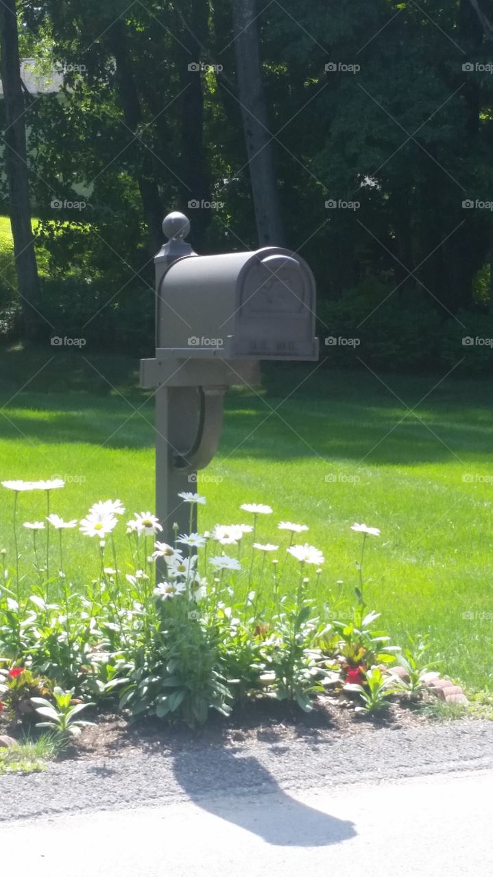 mail box. Garden at mailbox