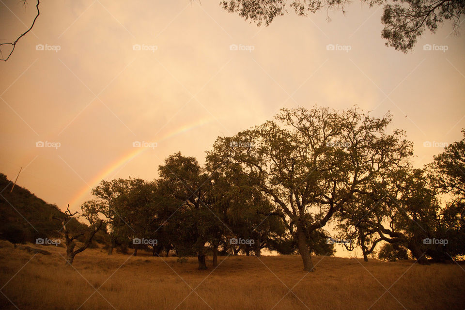 Double rainbow. A partial double rainbow 