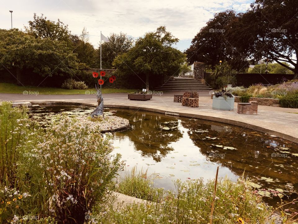 A reflective and dramatic feeling of the main feature of assorted and uplifting wild flowers.