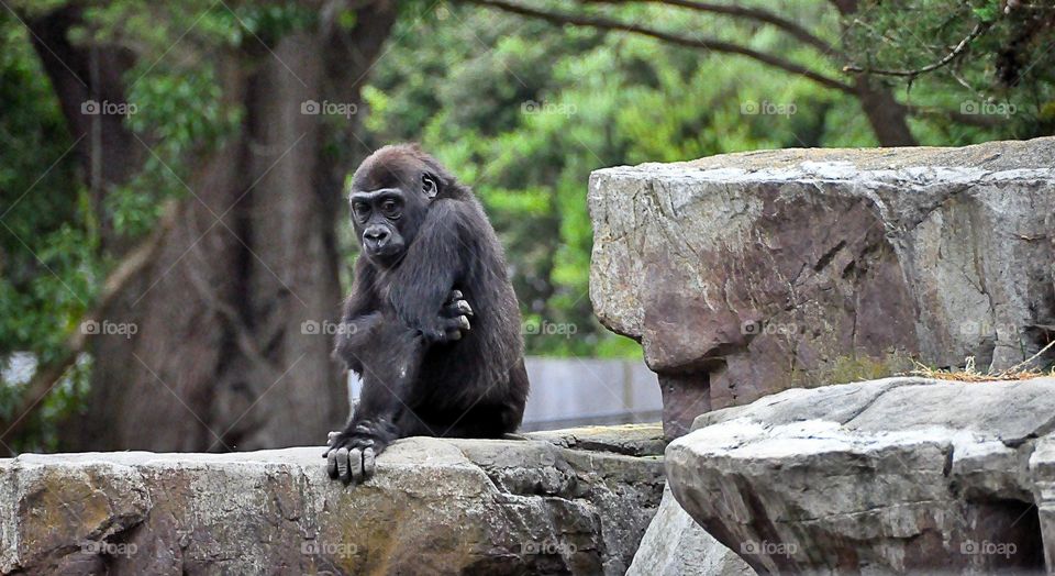 There's so much I should have done today, too bad I just got lazy because I have so much in my head to get rid of. 