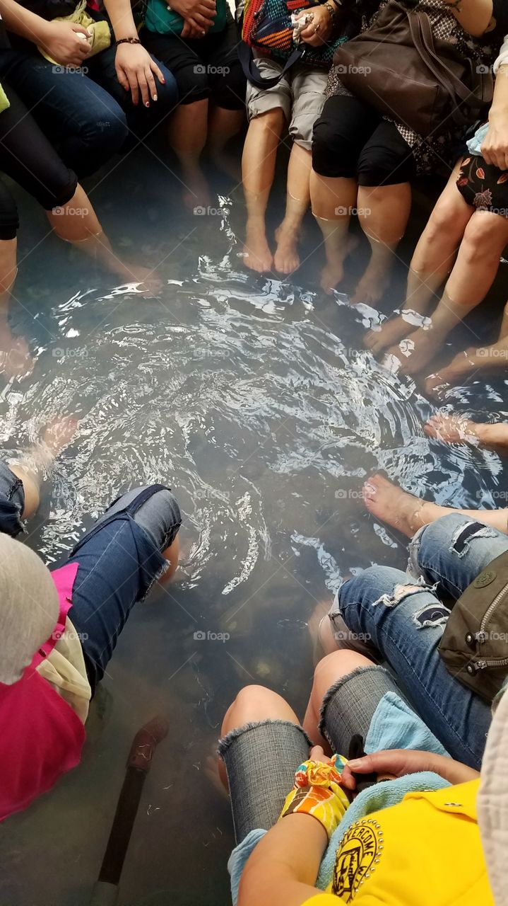 People, Water, Wet, Dug Out Pool, Festival