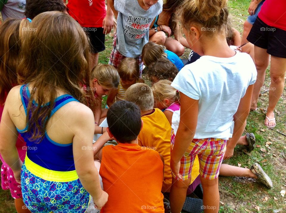 Wildlife education, children gathered around bucket of tadpoles 