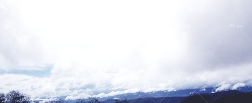 Floating on the white cotton clouds high above the deep blue sky of the Smoky mountains.