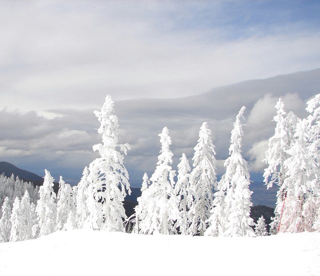 snow